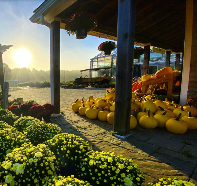 cbi-farmstand